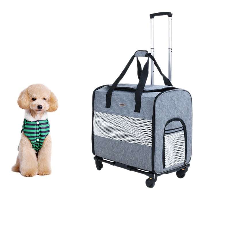 飼育ケース1.6L(1600cc)成虫・幼虫飼育に/菌糸ボトル/加工済ペット