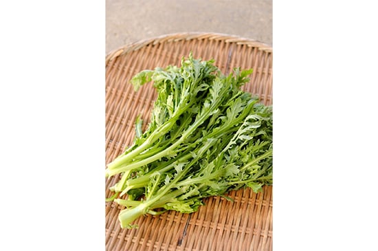 【無二の風味】春菊・100g