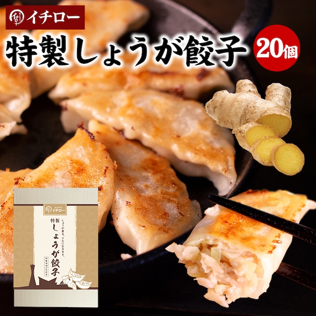 【ご贈答用】特製しょうが餃子20個 味噌だれ付（化粧箱入）