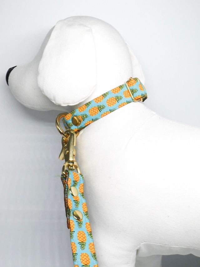 Collar&Leash(Mira)