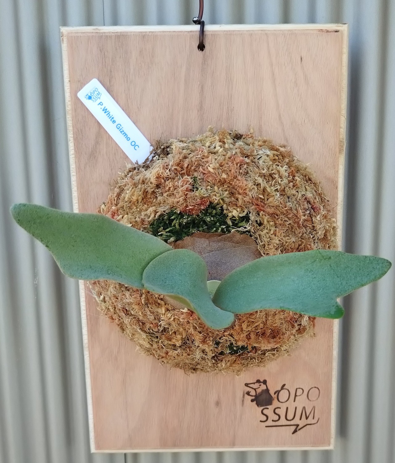 573ad9de6c5ca95ecff45ea49d6cec  