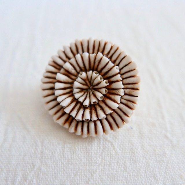 中嶋寿子のブローチ［砂の花］ A-1Y