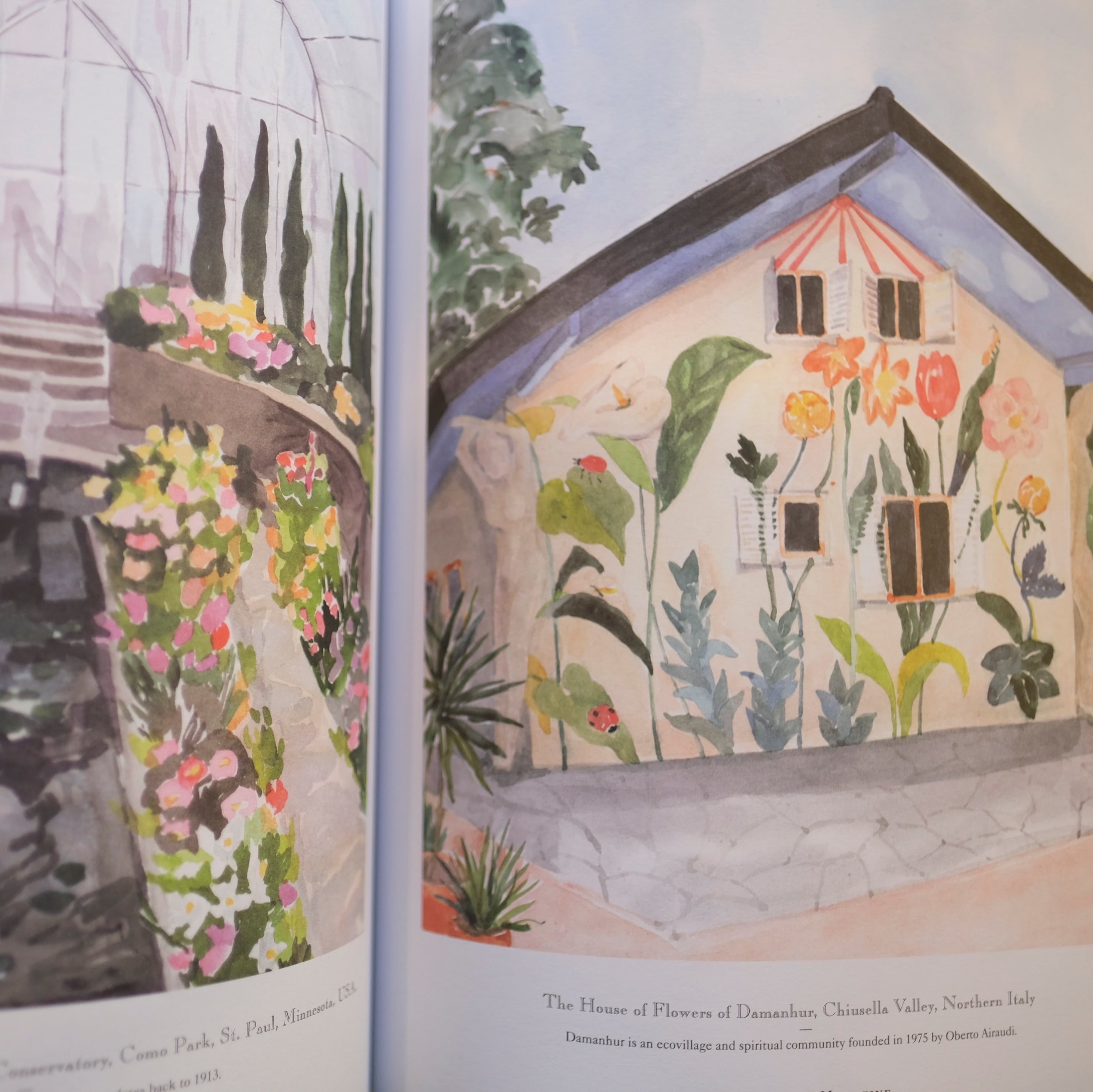 Blumenhaus / Blumenhaus magazine Issue1 | アトリエみちくさ