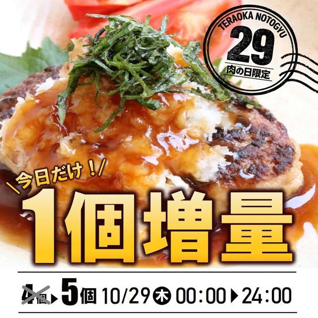 能登牛 能登豚 黄金比率ハンバーグ(4ヶ＋1個増量)【BASE-41】【冷凍便】