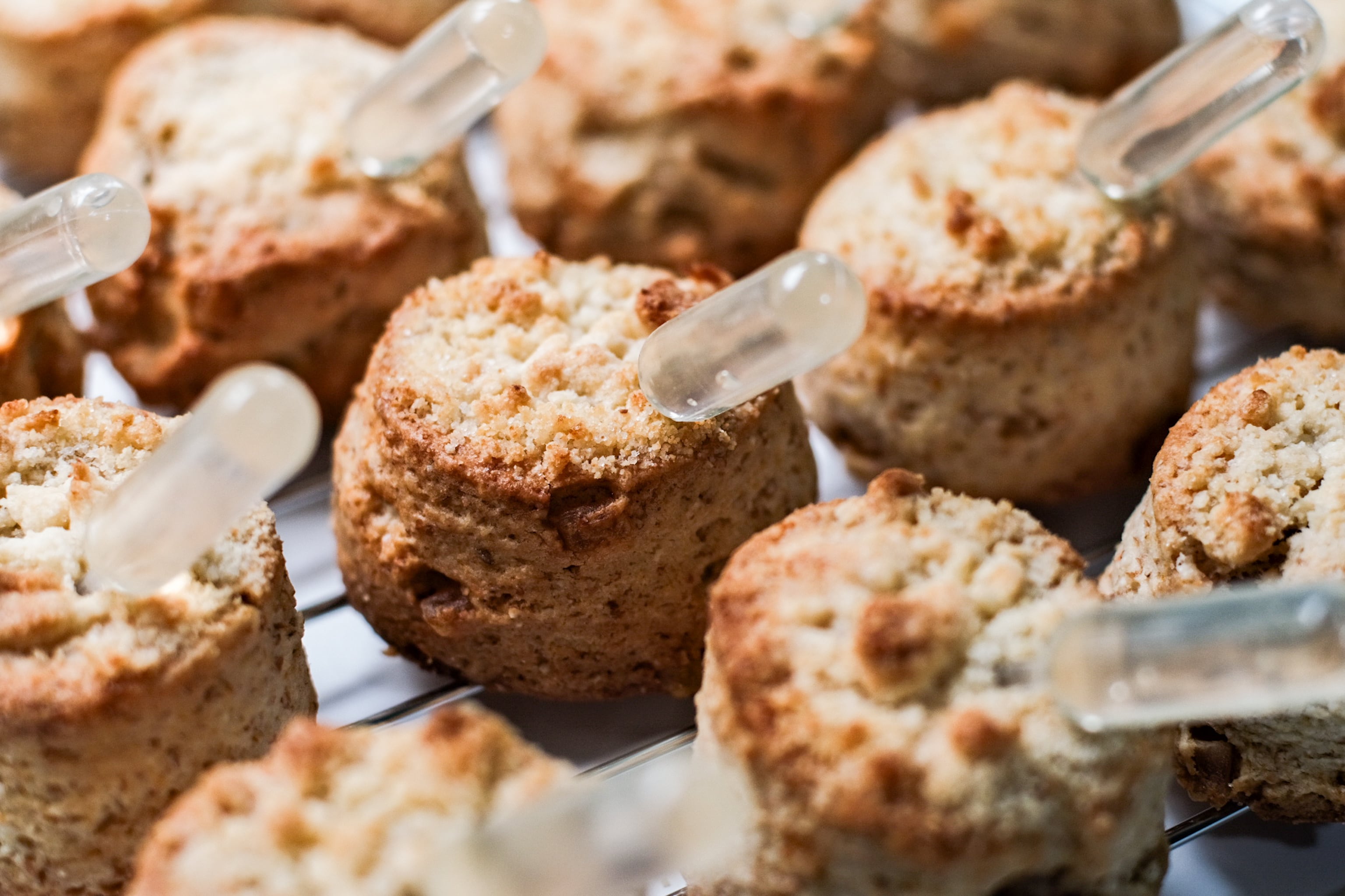 空スコーン 新発売！スコーン［はちみつ］ | ムジナの庭