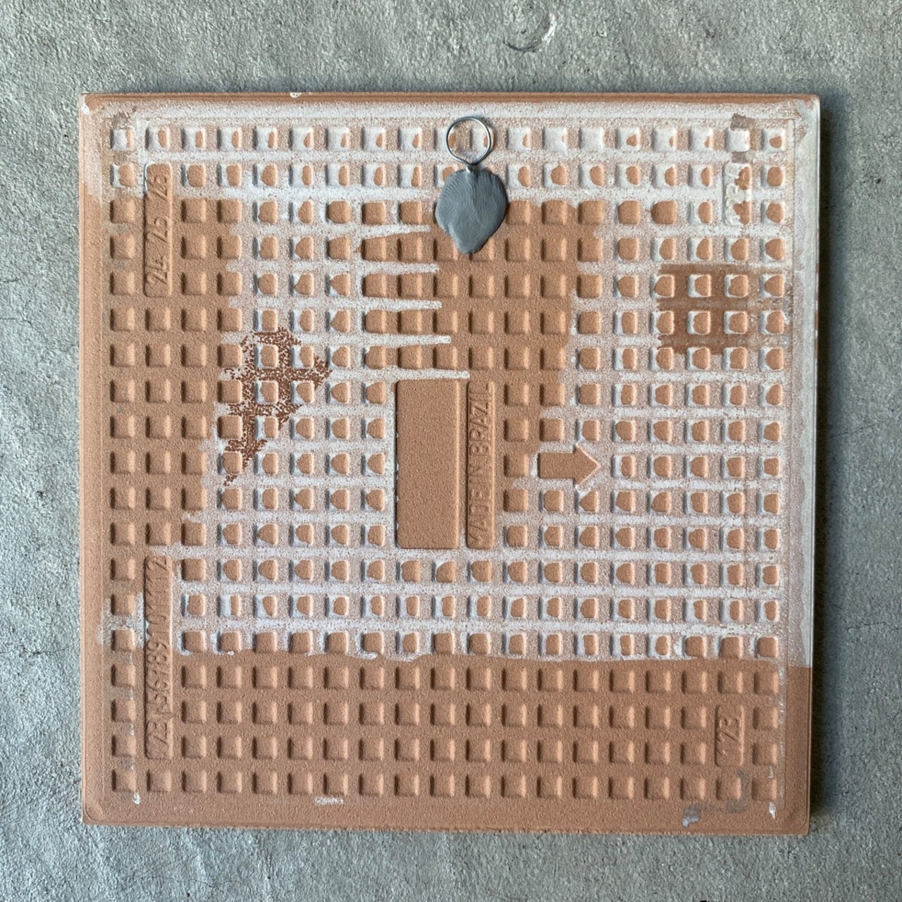 ボルジェス木版画 BACARO BORGES タイル『サボテンと木と太陽』