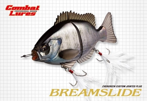ミステイクルアーメイキングDUMMY | ビッグバス bigbass