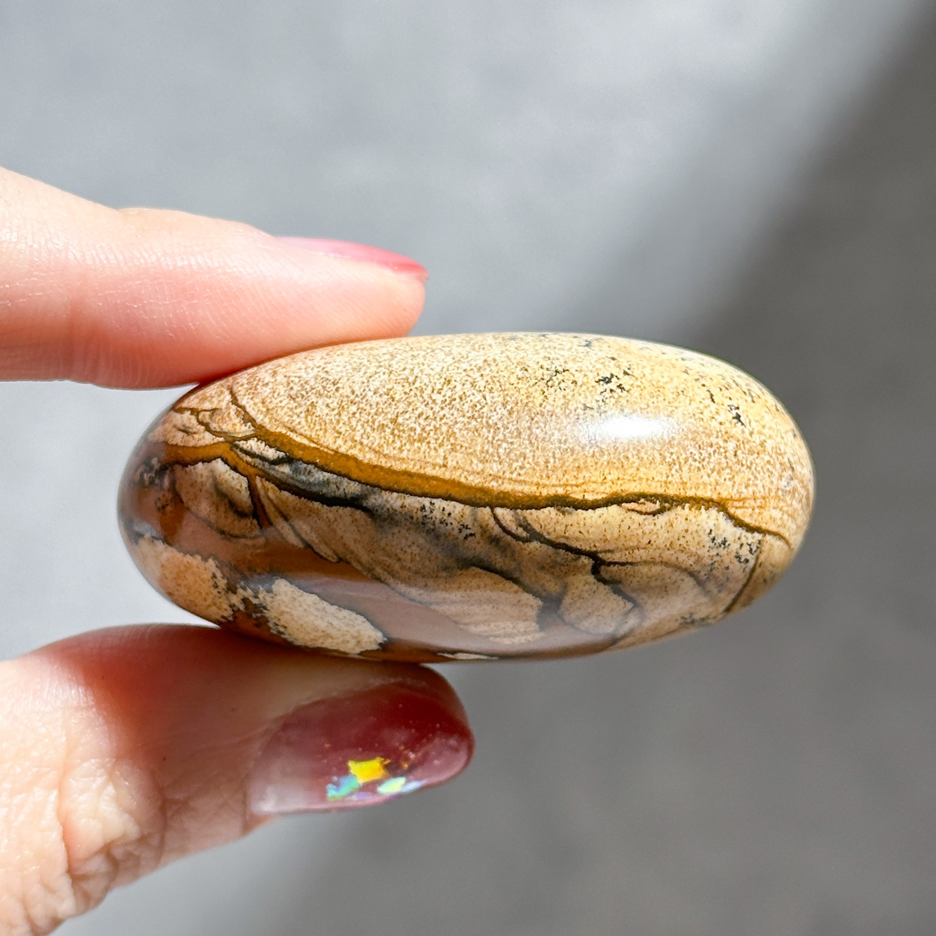 ピクチャージャスパー パームストーン21◇ Picture Jasper ◇ 天然石