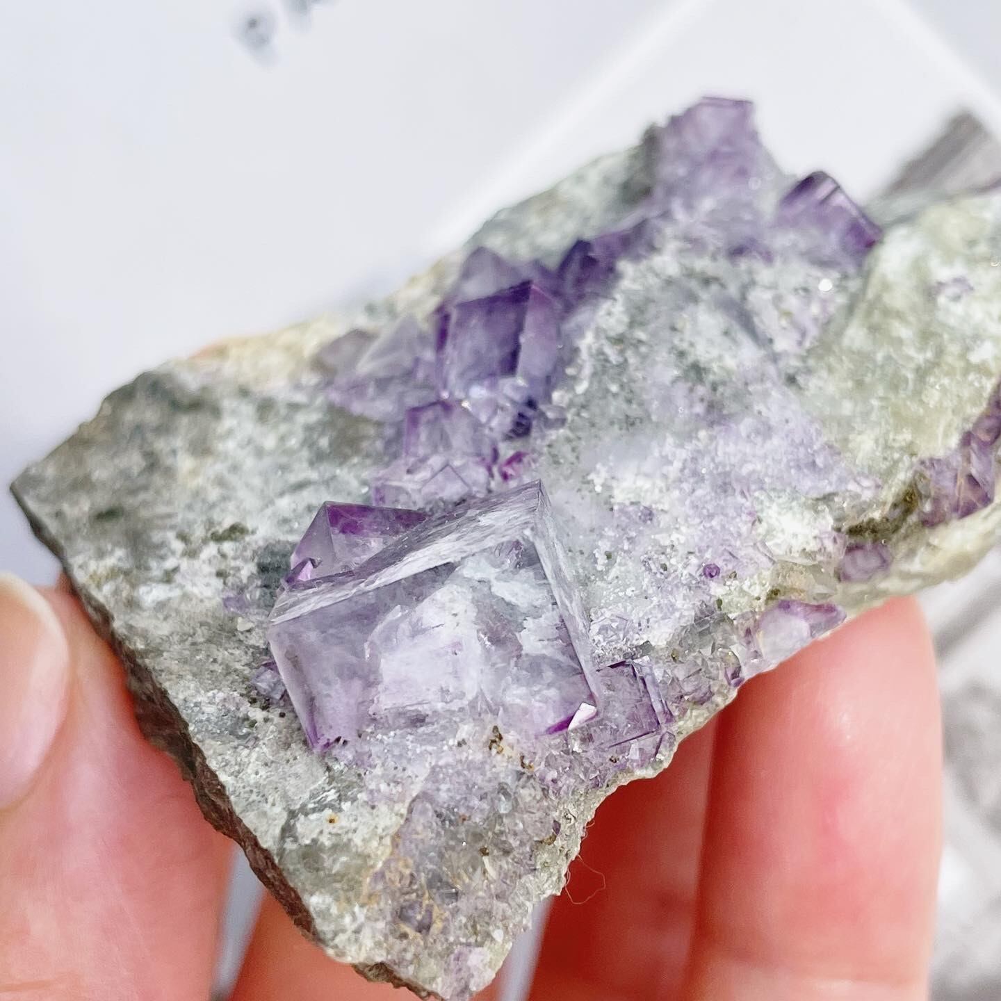 Fluorite with Clear Quartz (共生原石 5)