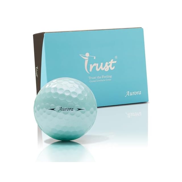 ゴルフ練習器具 Dr.Daniel スマートインパクト 新品未使用品 ゴルフ