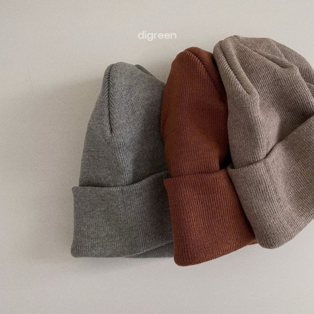 digreen25wn_Cotton Beanie