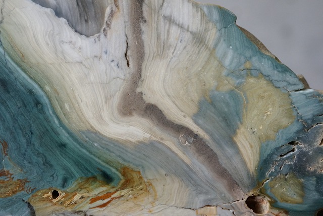 ゲイリーグリーン・ジャスパー (ペトリファイド・ボグウッド)　Gary Green Jasper 752