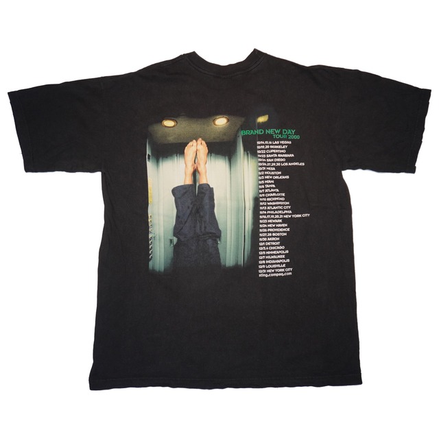 Sting Brand New Day ヴィンテージTシャツ (スティング 1999)｜送料無料｜ヴィンテージTシャツ専門通販