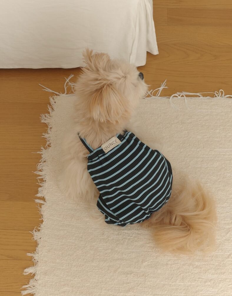 予約【ounce】STRIPE BUNNY ALL IN ONE (SkyBlue)