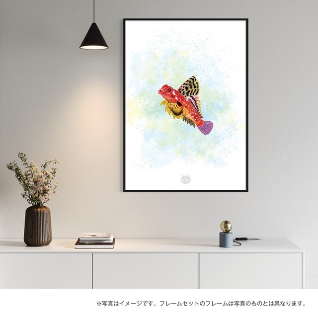 【海のいきものアートポスター／魚】ルビーレッドドラゴネット