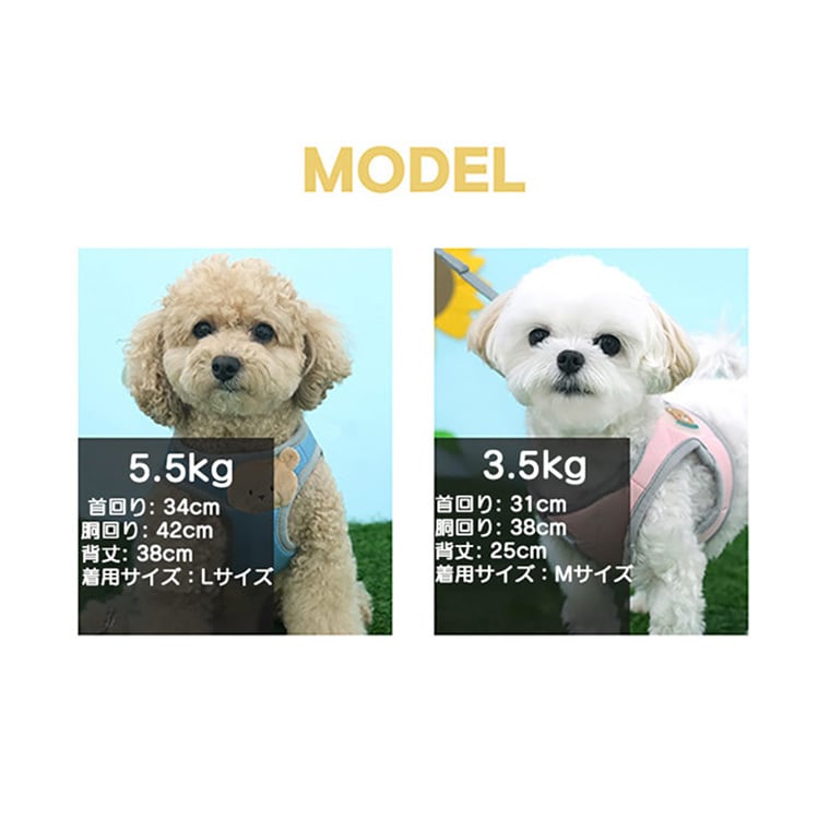 soft bear harness S ～ L 2color / 犬用 ハーネス 胴輪 リード 光る 夜のお散歩 メッシュ素材 サイズ 調節 通気性 可愛い 犬ハーネス お出かけ 散歩 小型犬 中型犬 韓国ワンコ服 クマ柄 お揃い