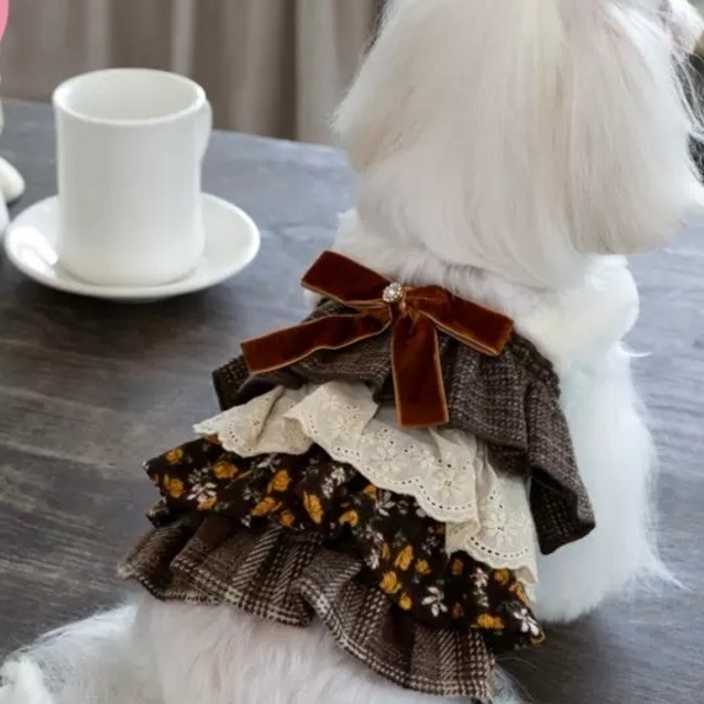 chocolat garden dress