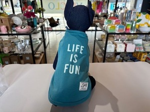 犬服　ICEライフイズタンク [サイズ: １号〜] [カラー: ターコイズ]