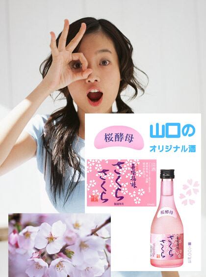 新銘柄 桜酵母さくらさくら 300ml 5本入り 長陽福娘 | netcarugo