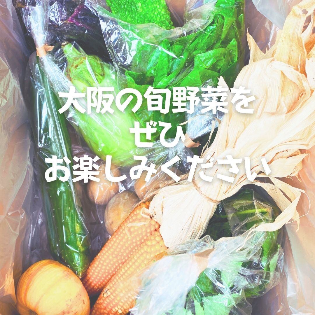 無農薬野菜セット10品目 大阪府富田林市 笑ノ百姓 | 大阪産直VIVA VEGE