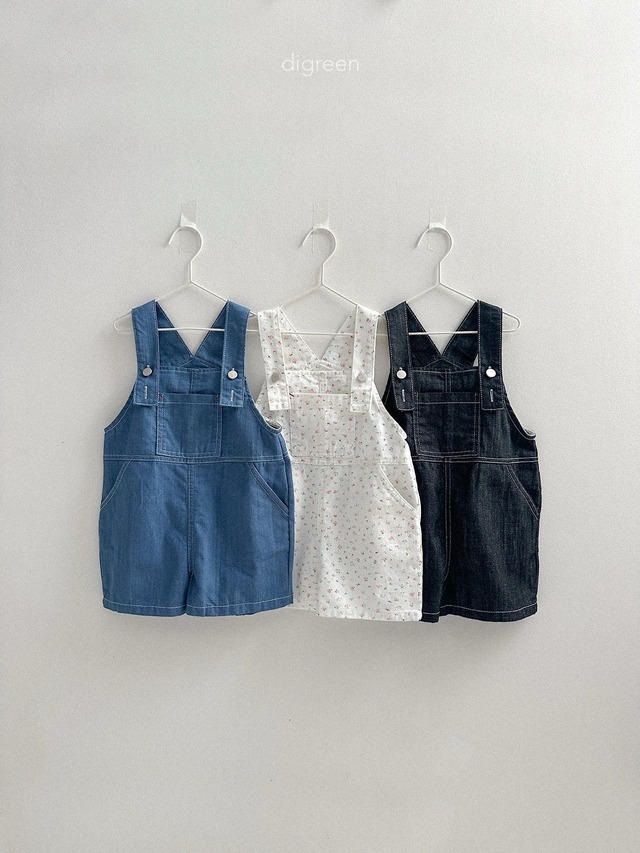 《予約/送料無料》mood overall / digreen