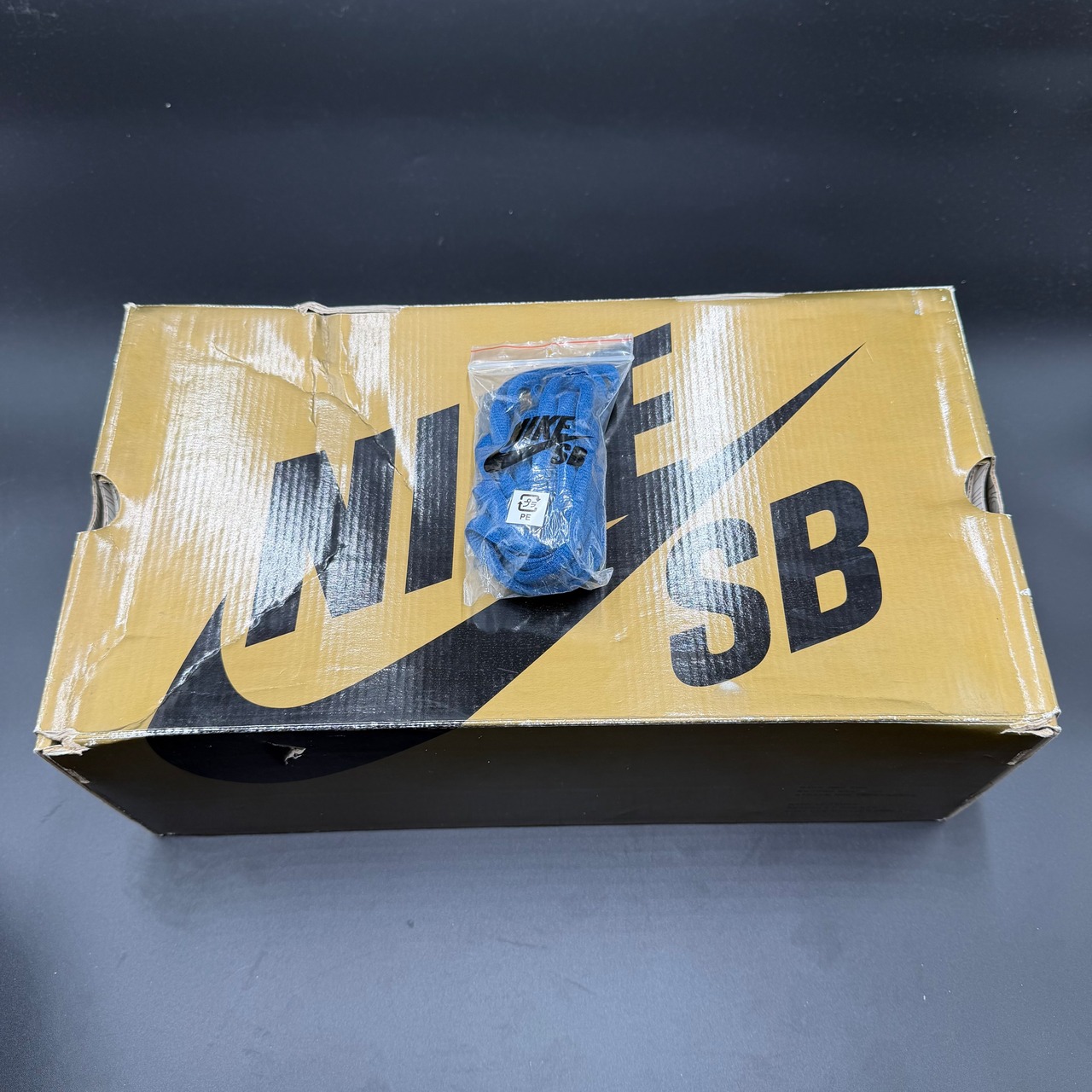 SB DUNK LOW SKATE OR DIE 304292-073