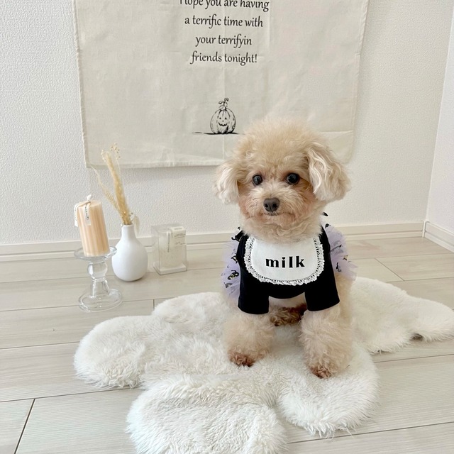 【即納】スイートミルクスタイ