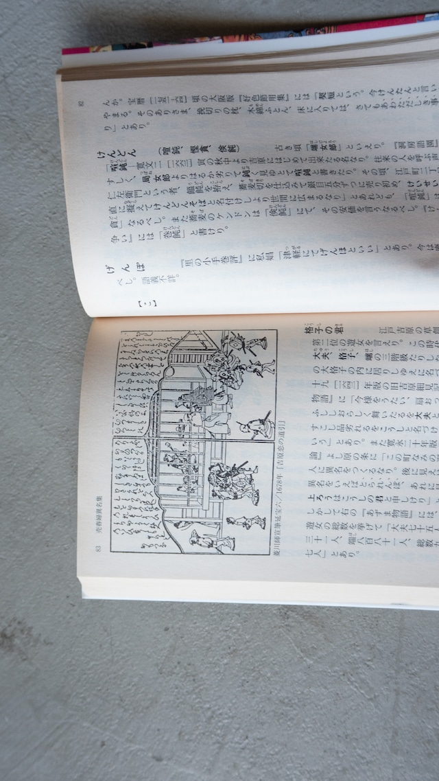 "猥褻風俗辞典" vintage Book