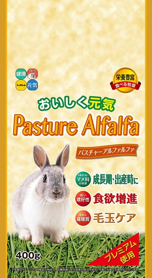 【新着特価】ハイペット パスチャーアルファルファ 400グラム (x 1)