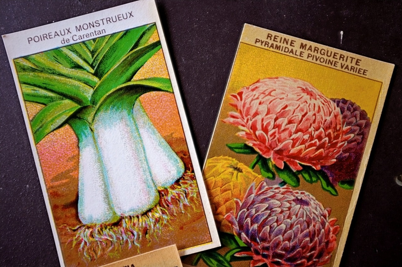 20s フランス 4set 膨満な花々と野菜たち 種子袋用ラベルu アンティーク