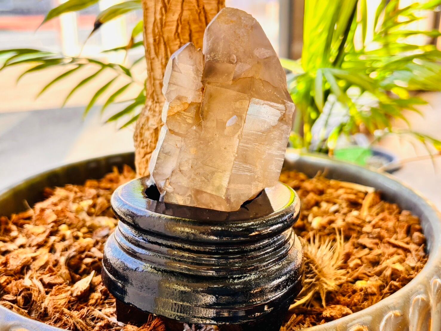 レインボー水晶 5 A 6.5センチ 289グラム | Amour 贈