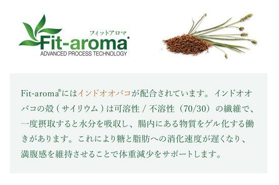 モンジュ ベッツソリューション 肥満サポート3kg（犬用療法食
