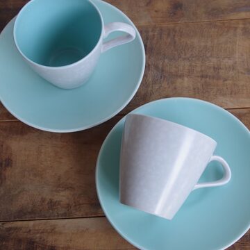 DENBY デンビー Pampas ブラウン カップ ソーサー パンパス ボーダー 