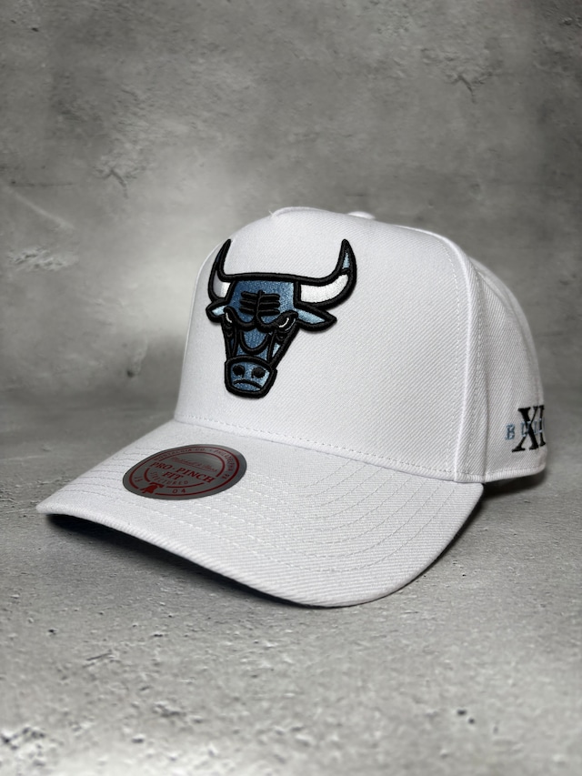Michell＆Ness/ミッチェル＆ネス NBA シカゴ ブルズ  コア XI プロ スナップバック