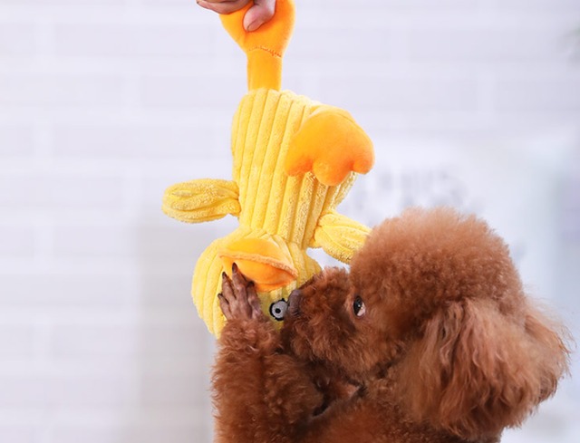 【犬用品】噛むおもちゃ　犬のおもちゃ　ペット歯磨き　安全　丈夫