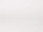 scallop pattern / BLACK