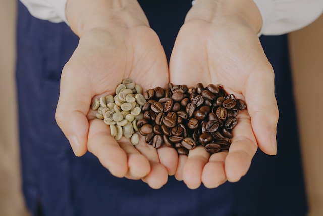 【約500g】エルサルバドル マラカラ・ブルボン