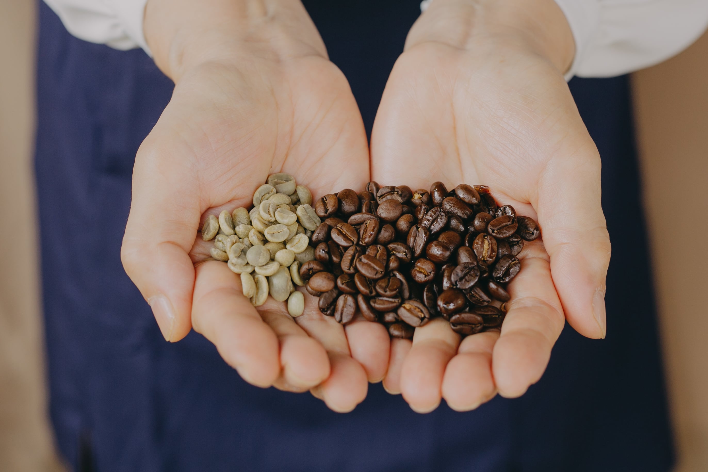 【約500g】エルサルバドル マラカラ・ブルボン