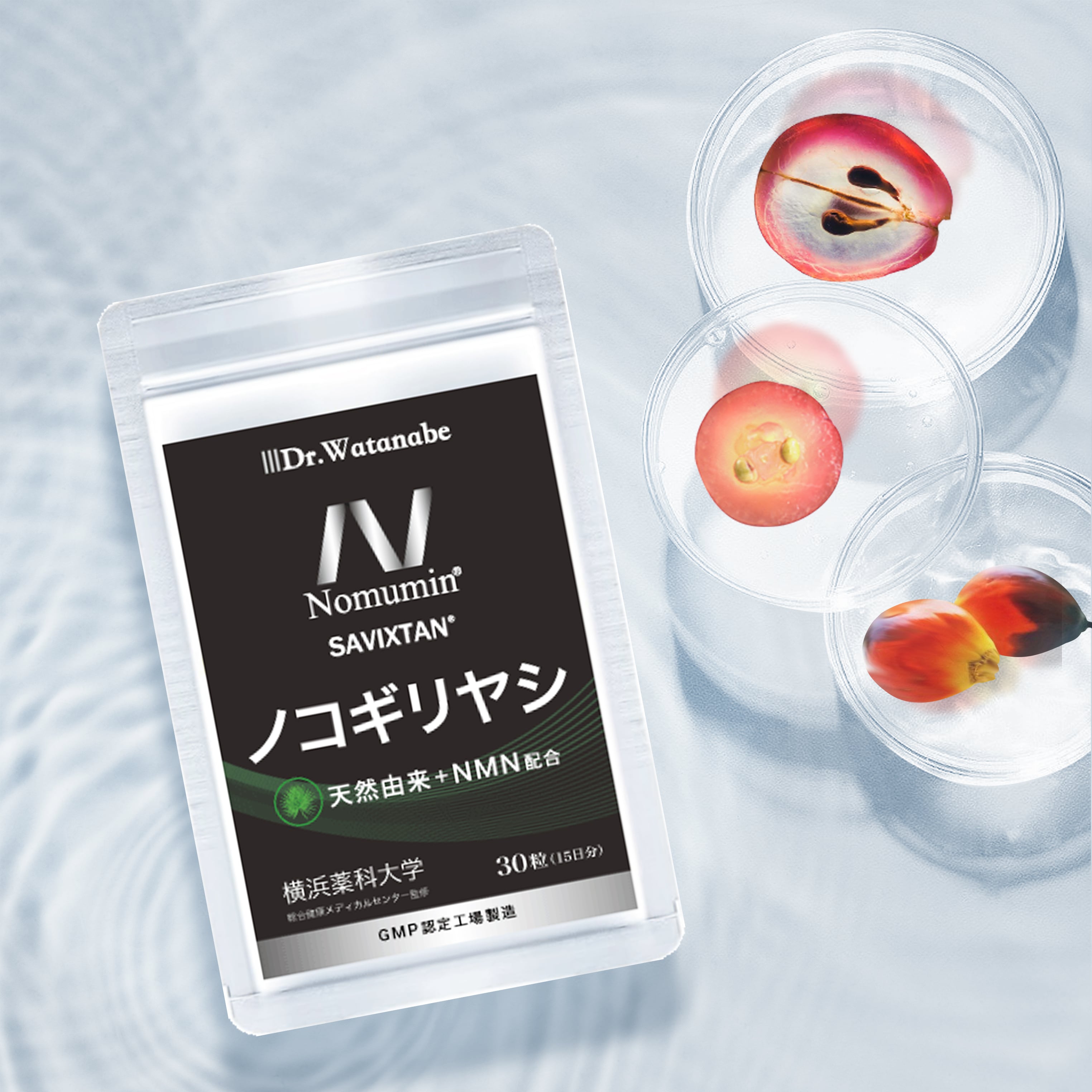 Nomumin SAVIXTAN | Dr.Watanabe｜Dr.WLab 公式 国内製造サプリメント