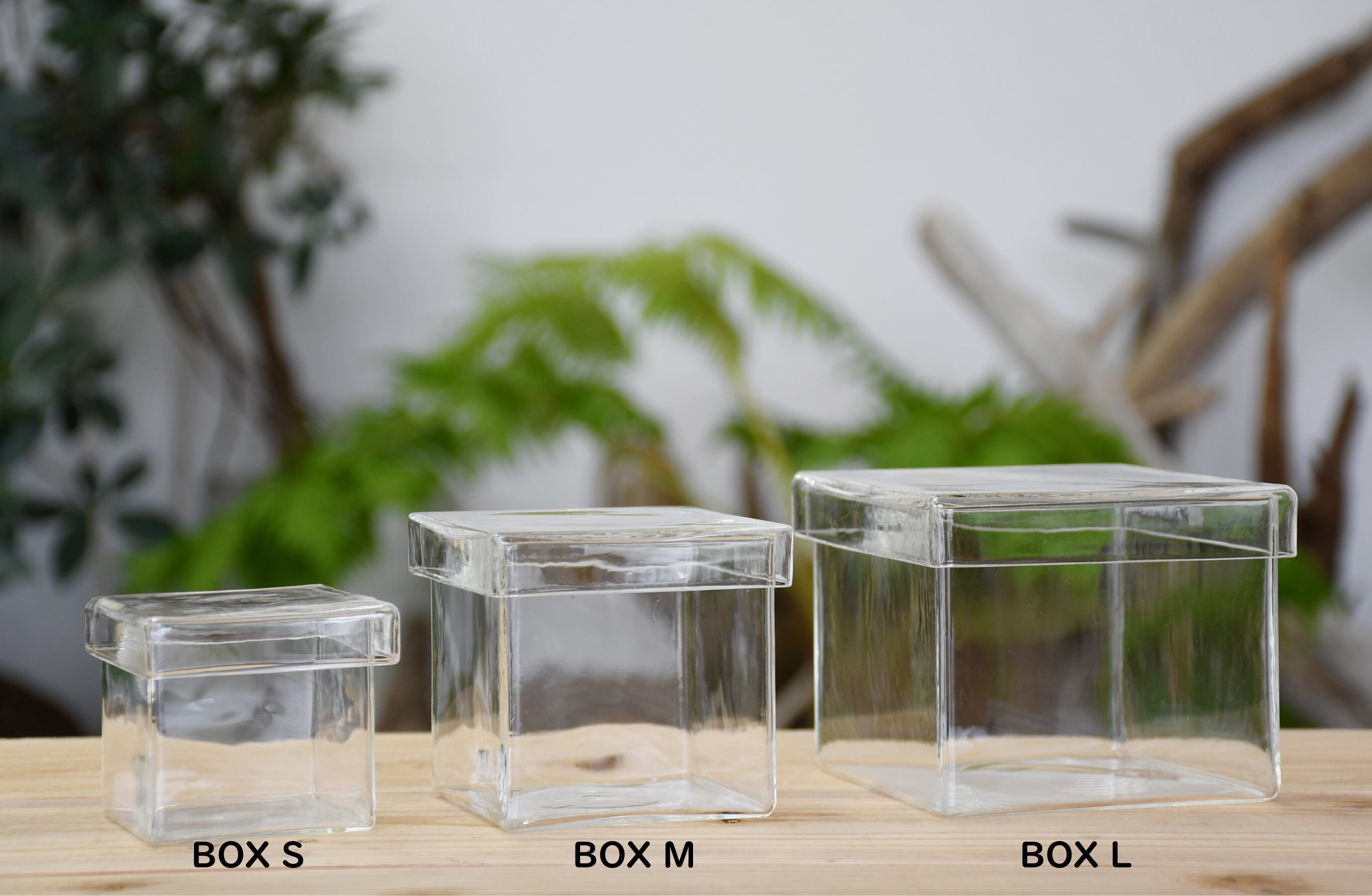 ガラス容器】BOX L（100x100xh80mm）◇景色を作るのにおススメ