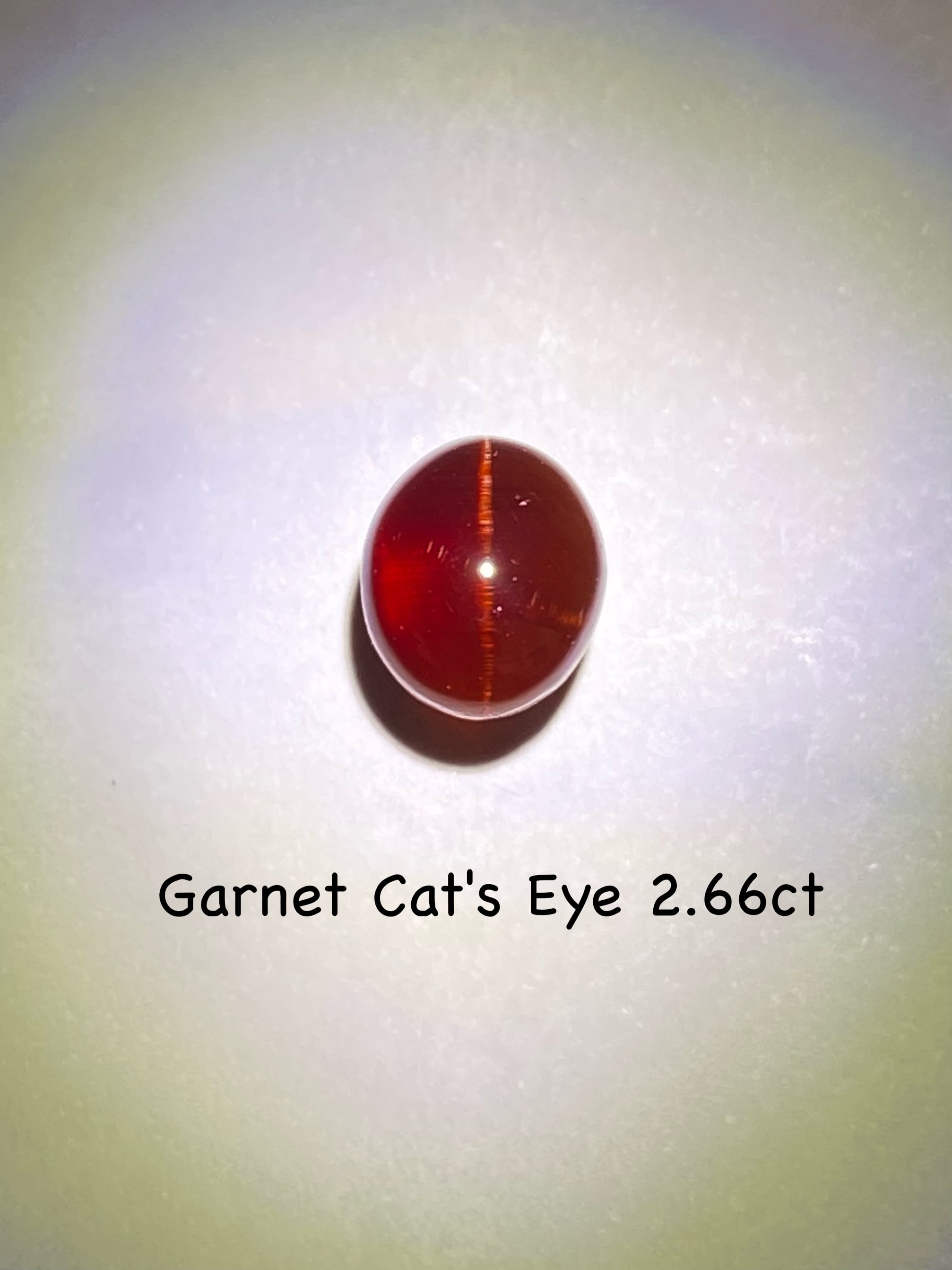 珍品》《はっきりキャッツアイ発現》ガーネットキャッツアイ