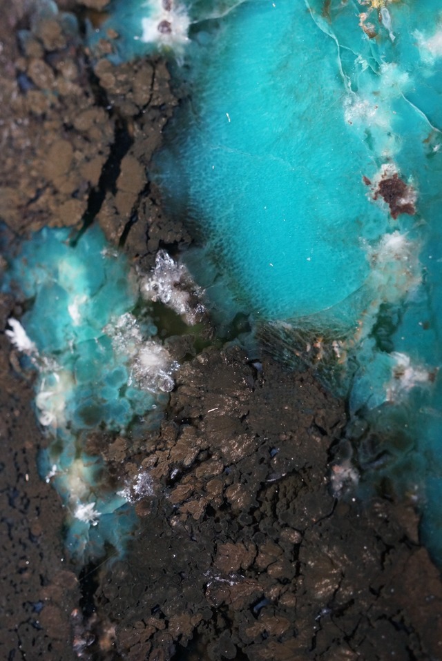 ジャワ島産ブルーペトリファイドウッド Blue Opalized Petrified Wood 1042