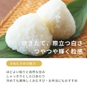 【定期便】精米15kg｜徳地きぬむすめ｜農家直送 山口県｜ 送料無料（北海道、沖縄を除く）