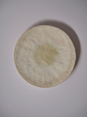 五嶋穂波 花筏 フラットプレート21cm no.33