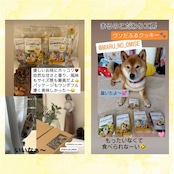 【数量限定!】まるのワンだふるクッキー 5種よくばりセット ※ワンコ用ではありません