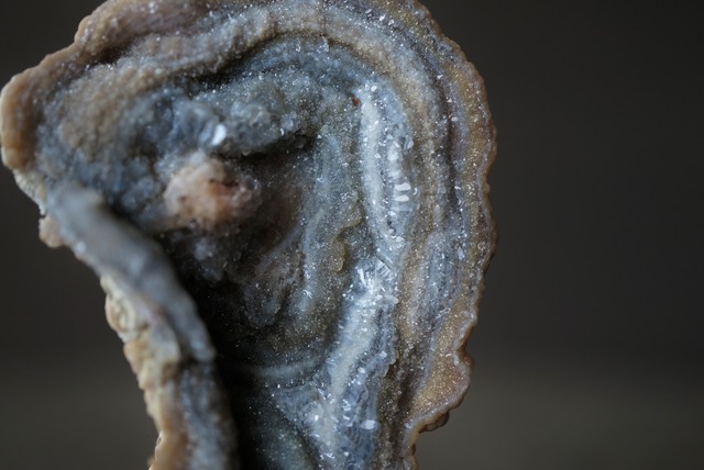 コンシャ・アゲート Concha Agate 1825