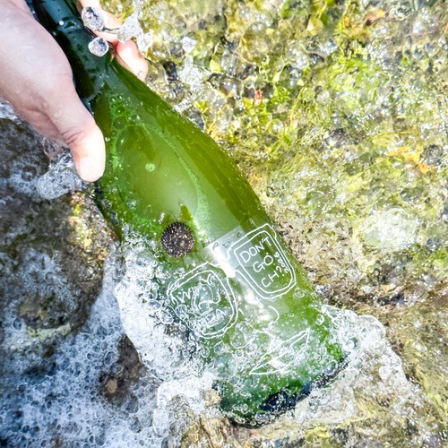 Why don't you go beach ? 2026 / ビーチ行かない？
