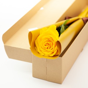 【応援したい女性に贈ろう】黄色いバラの1輪ギフトBOX