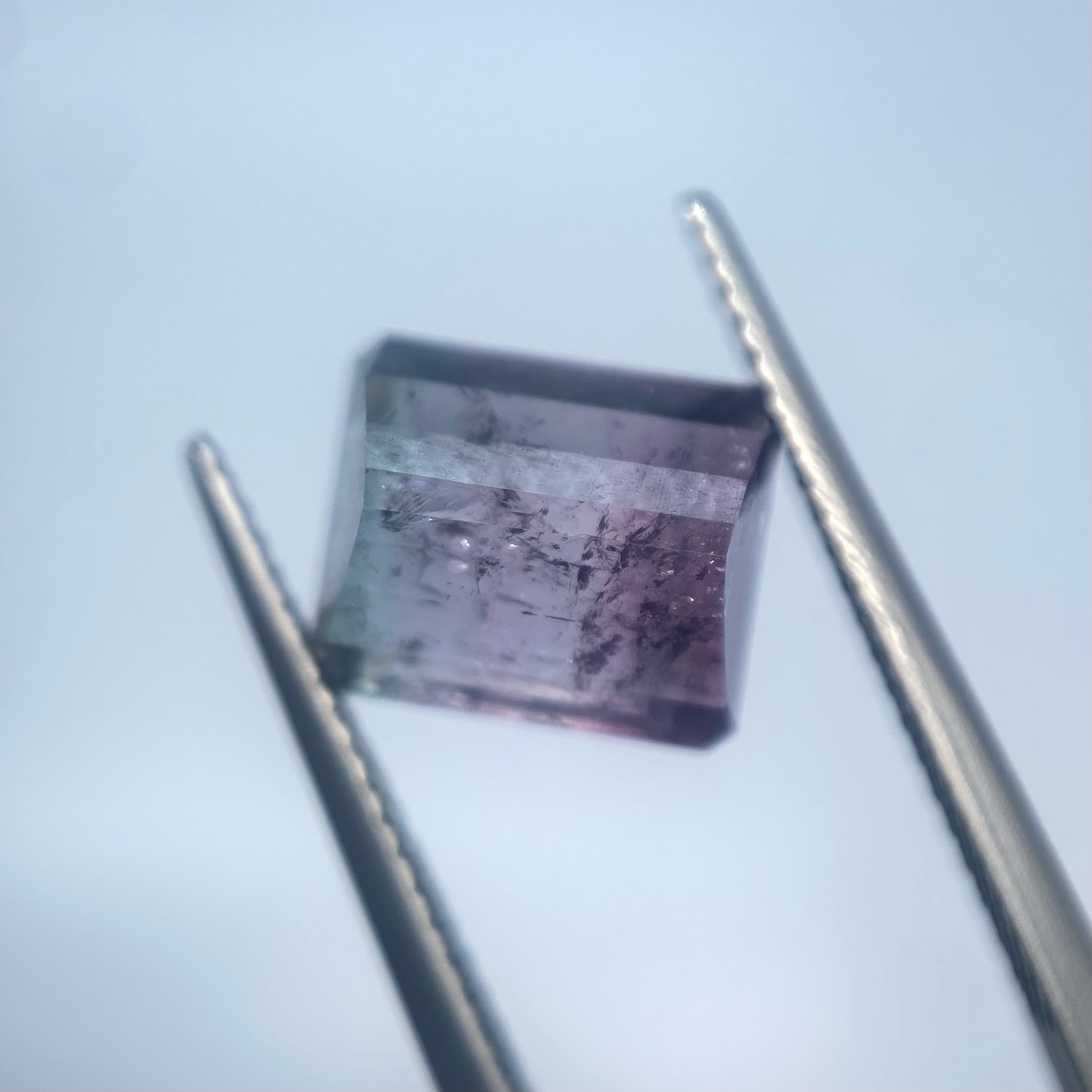 ヴィランズたちのハロウィンパーティー トルマリン