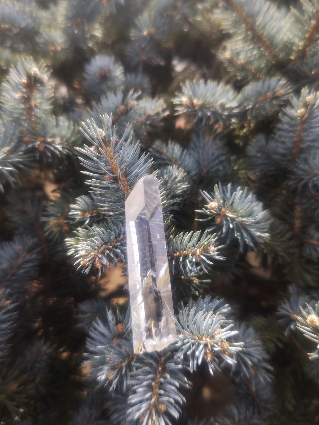 コロンビア水晶|世界で最も澄んだ光を放つ